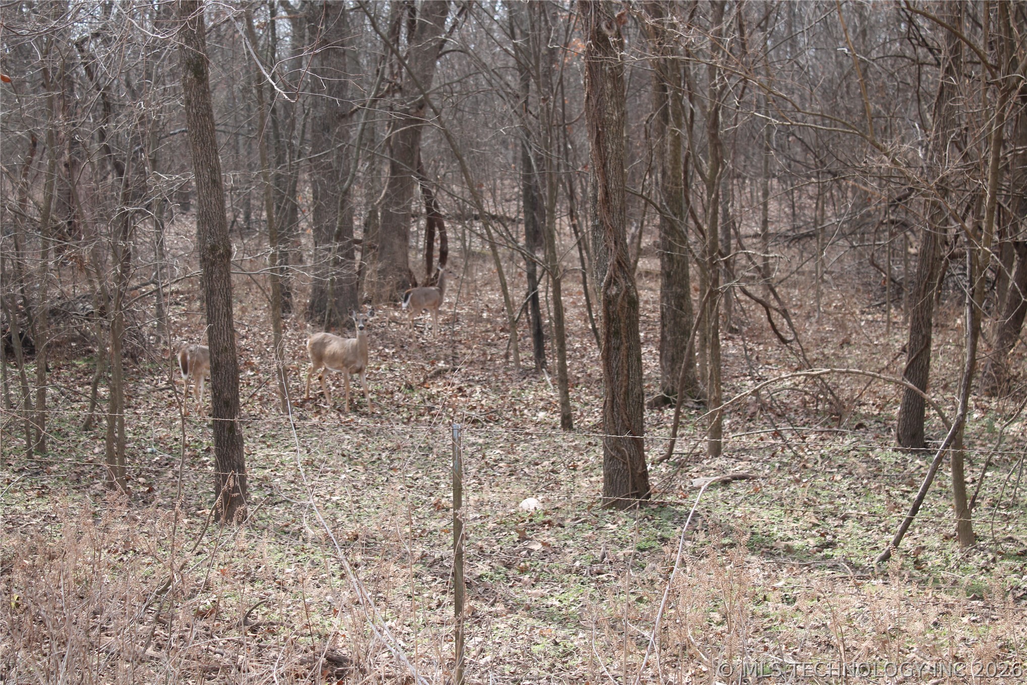 8101 S 700 Road Wyandotte OK 74370
