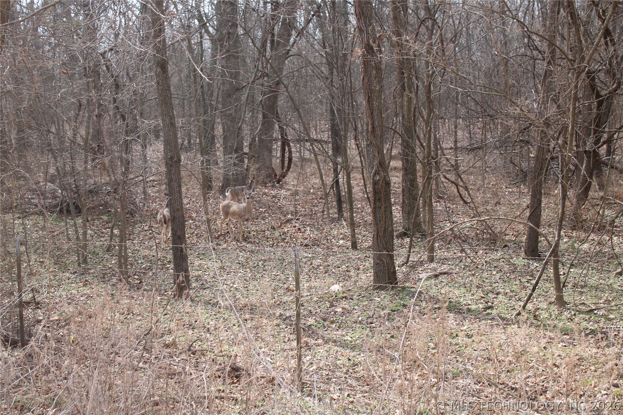 8101 S 700 Road Wyandotte OK 74370