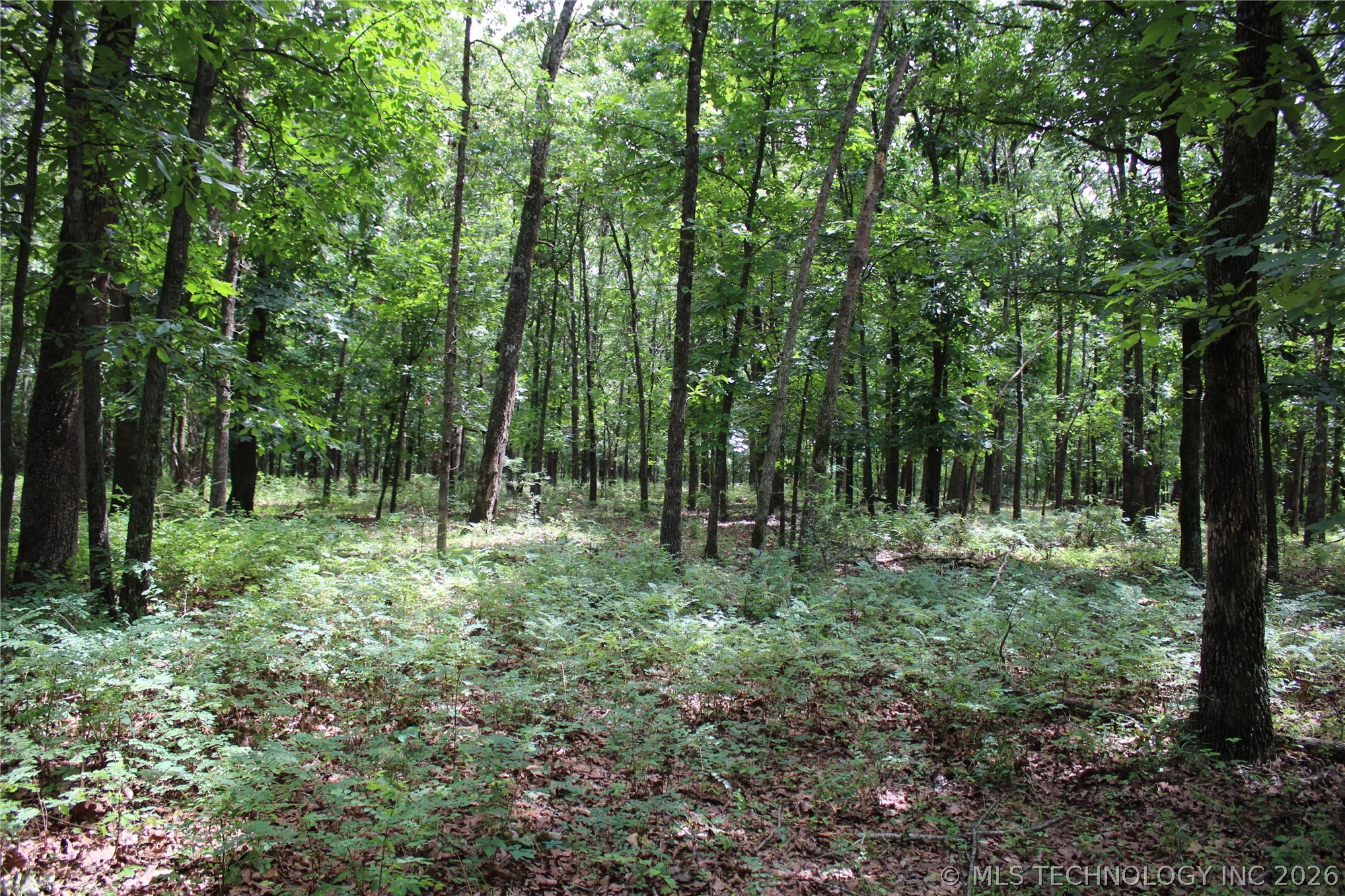 8101 S 700 Road Wyandotte OK 74370