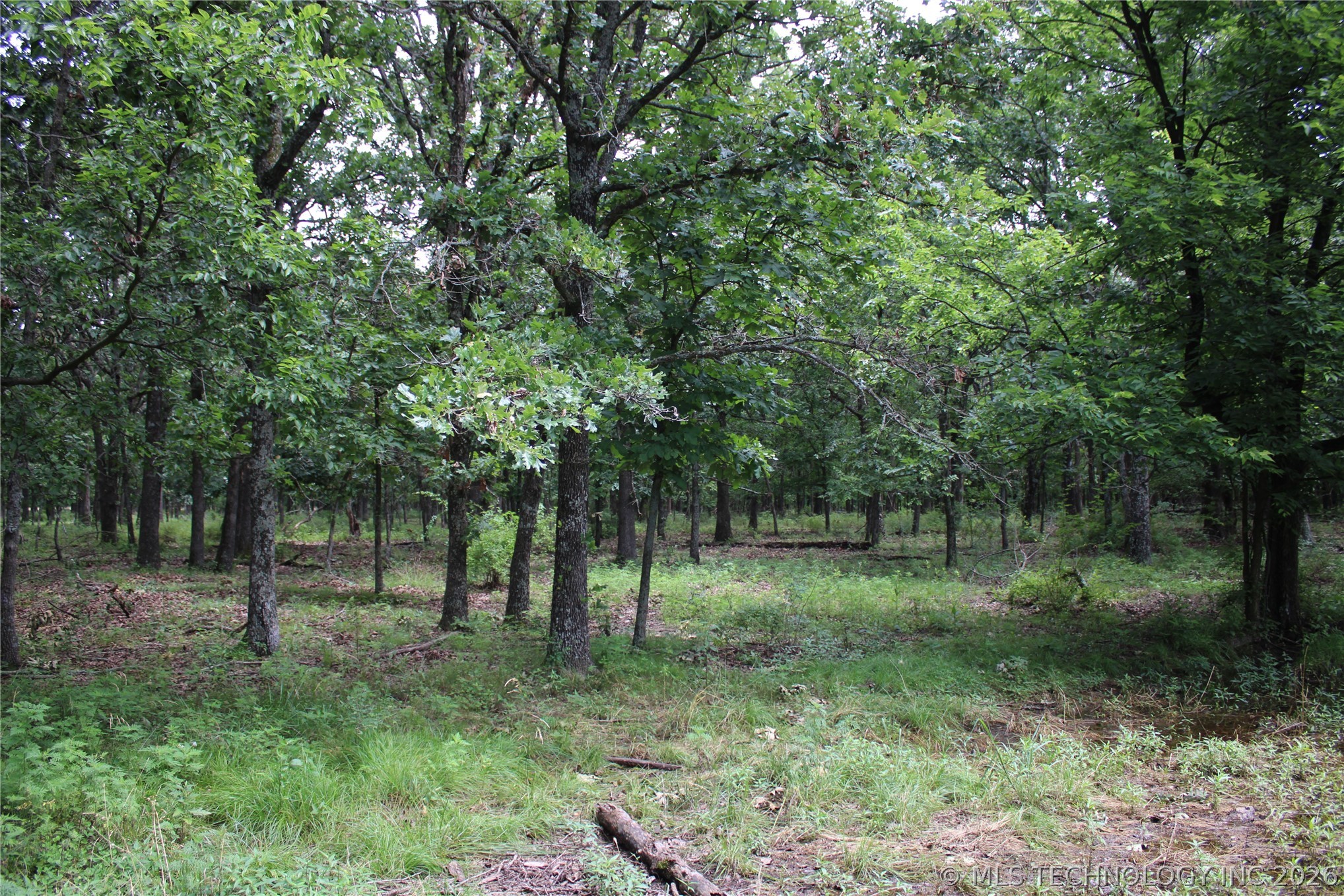 8101 S 700 Road Wyandotte OK 74370