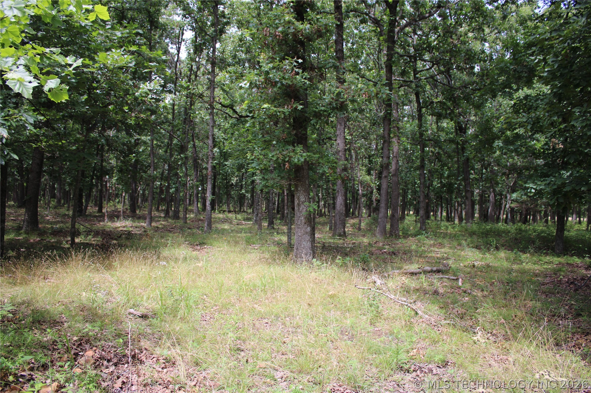 8101 S 700 Road Wyandotte OK 74370