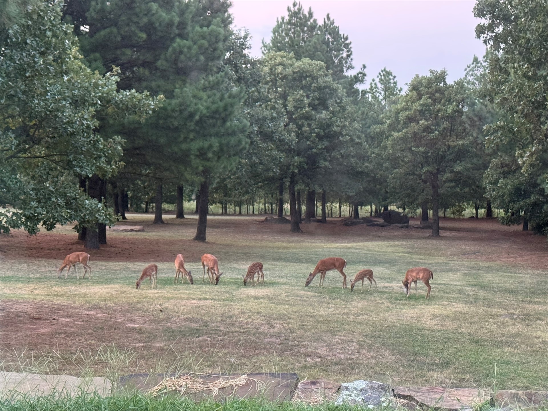 30150 S County Road 4430 Stigler OK 74462