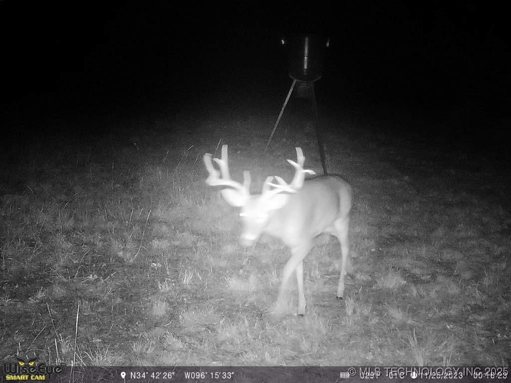 37968 County Road 1590 Coalgate OK 74538