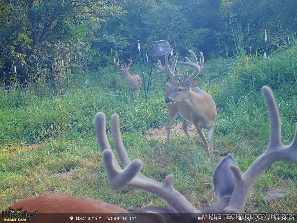 37968 County Road 1590 Coalgate OK 74538