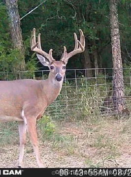 37968 County Road 1590 Coalgate OK 74538