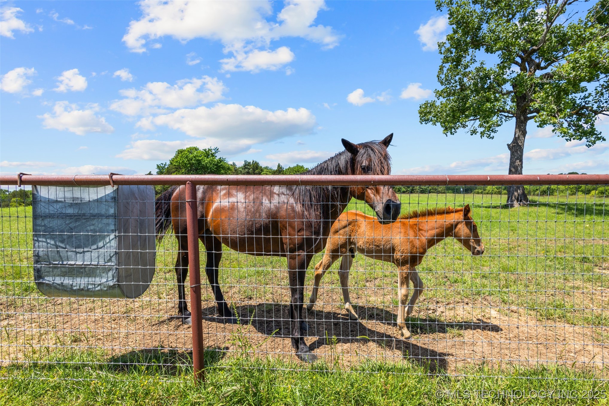 37968 County Road 1590 Coalgate OK 74538