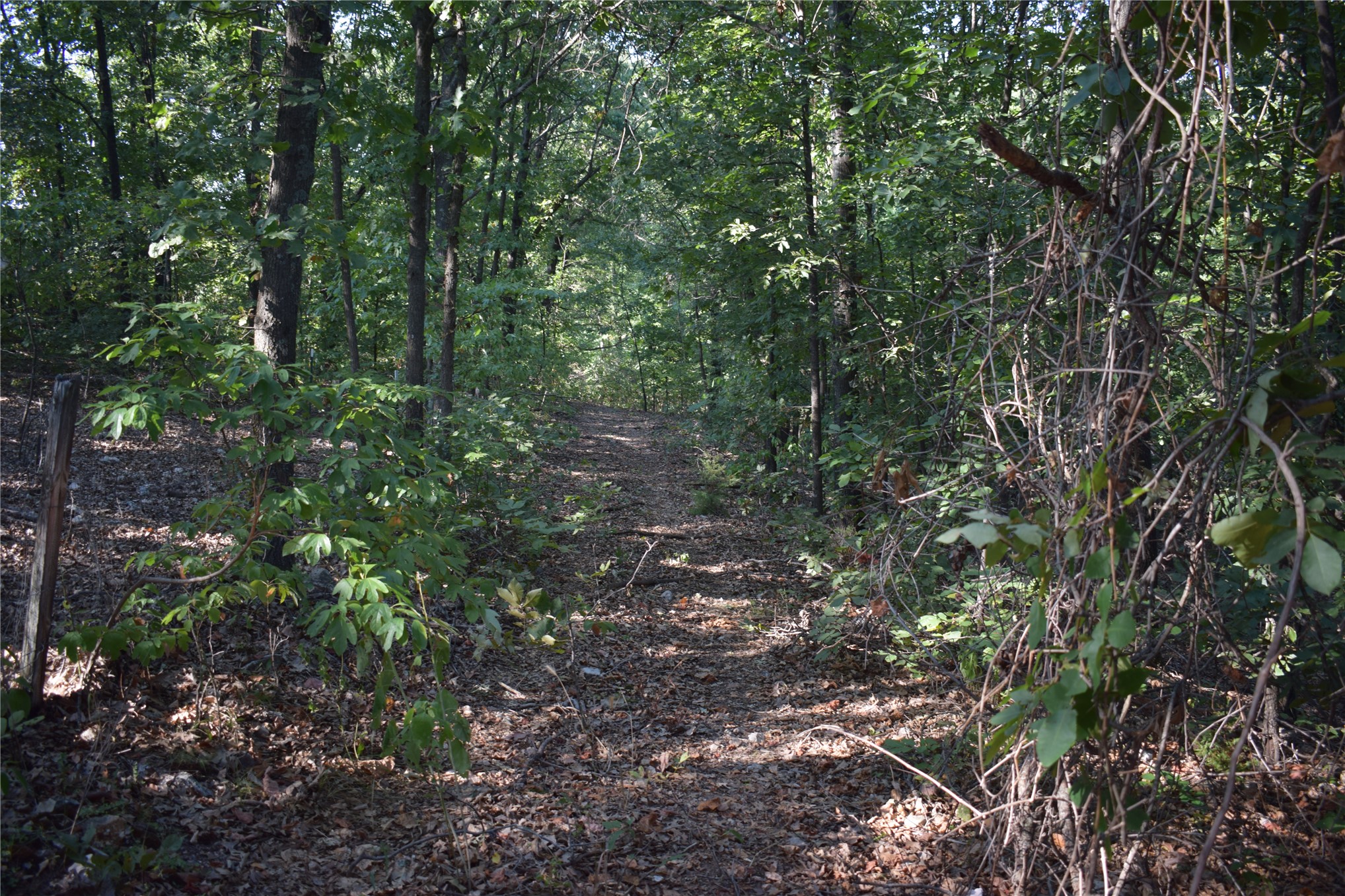 67451 E County Road 175 Road Wyandotte OK 74370