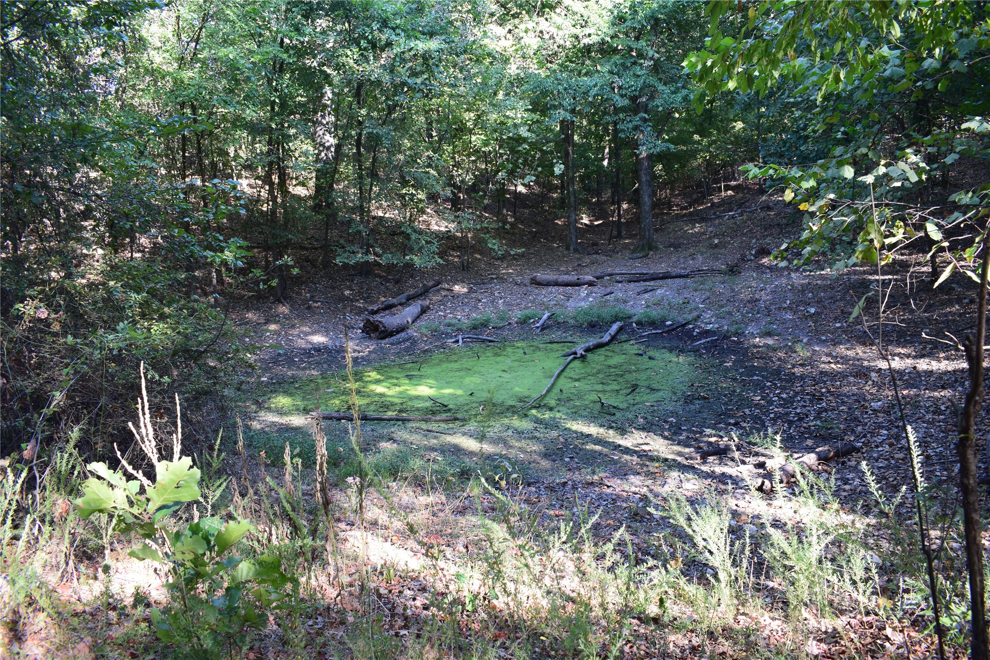 67451 E County Road 175 Road Wyandotte OK 74370