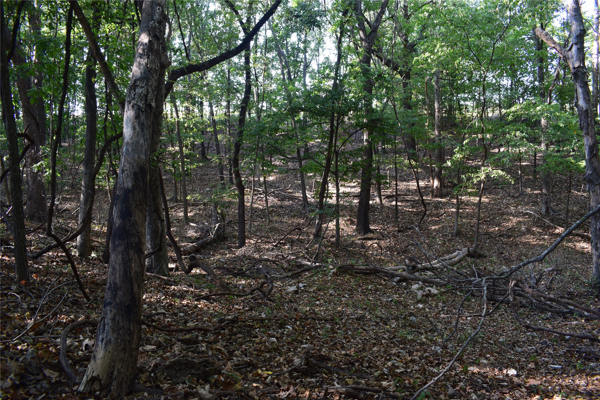 67451 E County Road 175 Road Wyandotte OK 74370