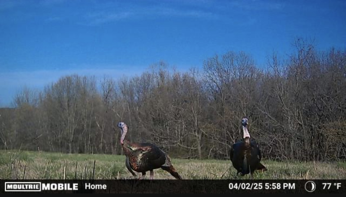 67451 E County Road 175 Road Wyandotte OK 74370