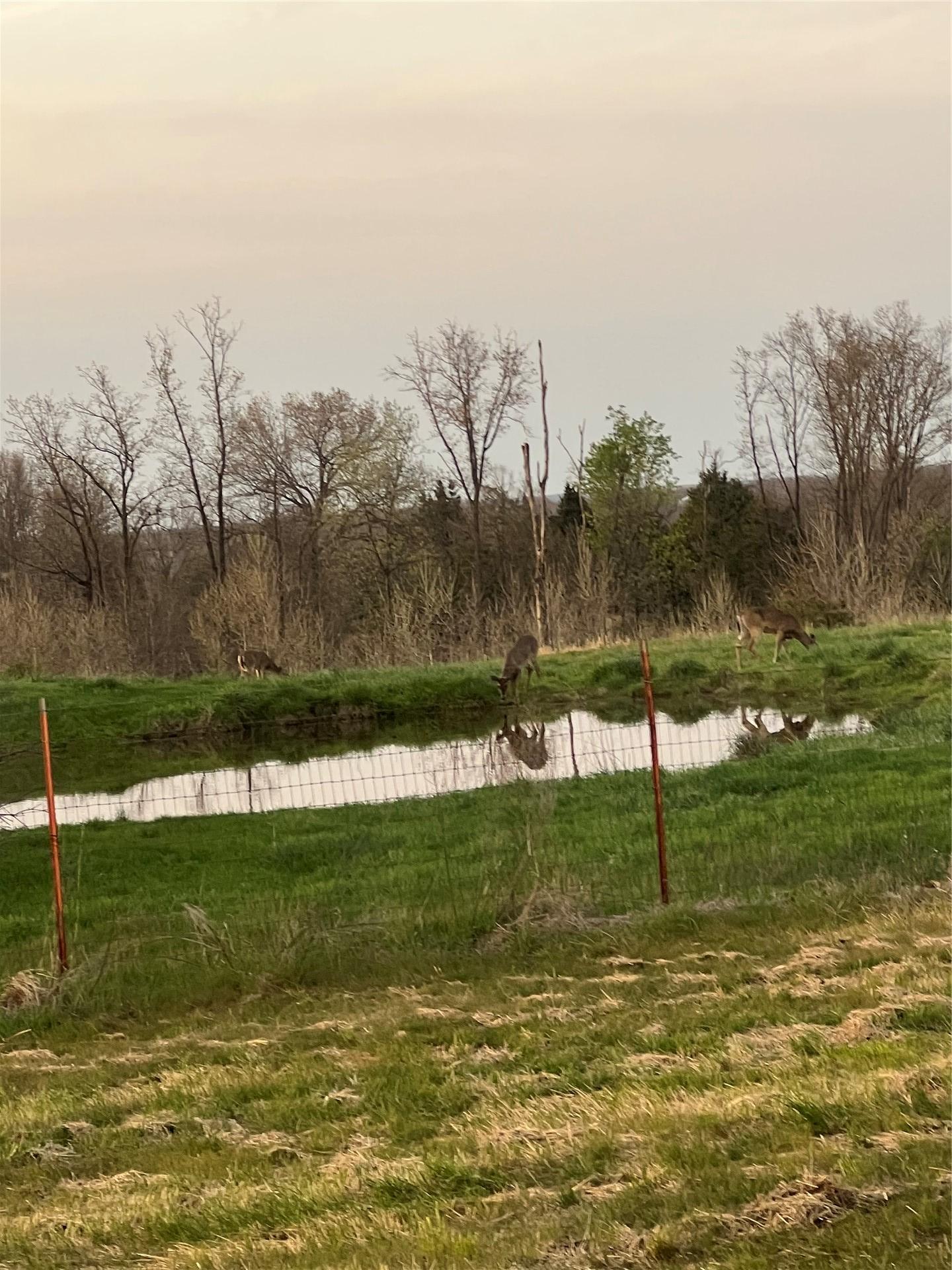 67451 E County Road 175 Road Wyandotte OK 74370