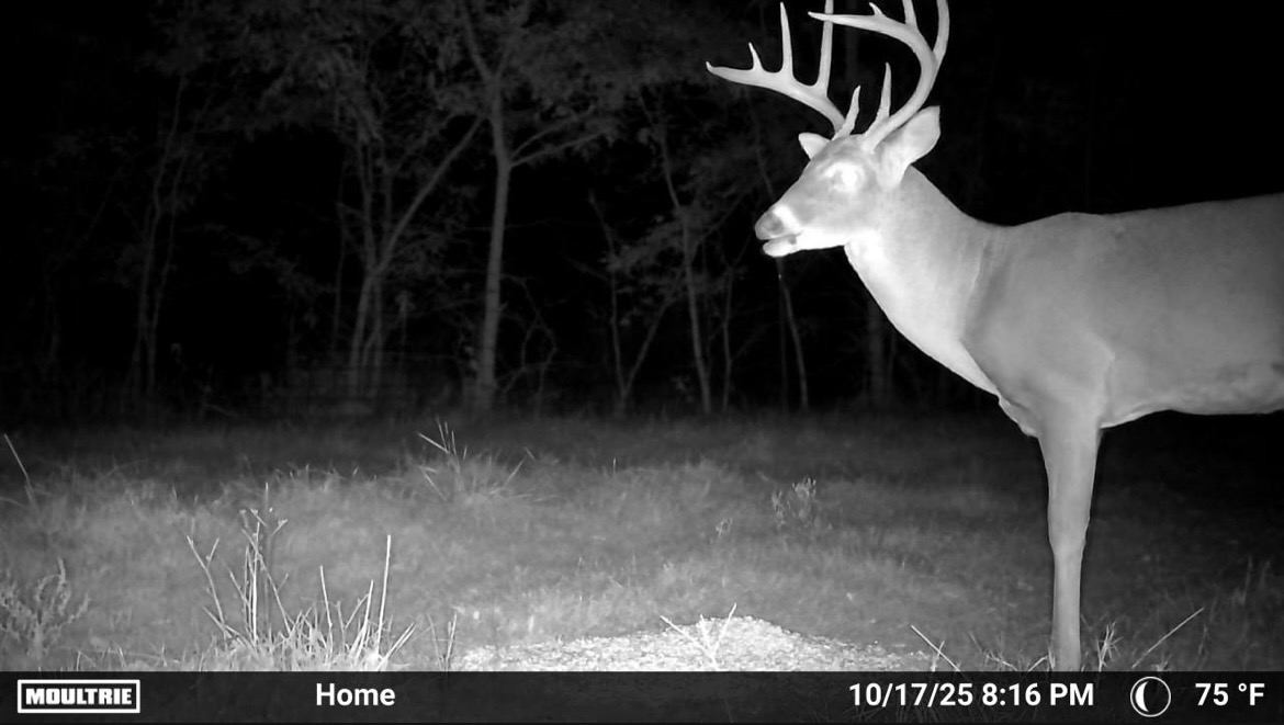 67451 E County Road 175 Road Wyandotte OK 74370