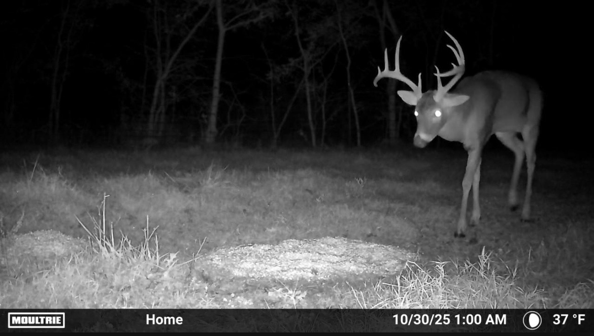 67451 E County Road 175 Road Wyandotte OK 74370