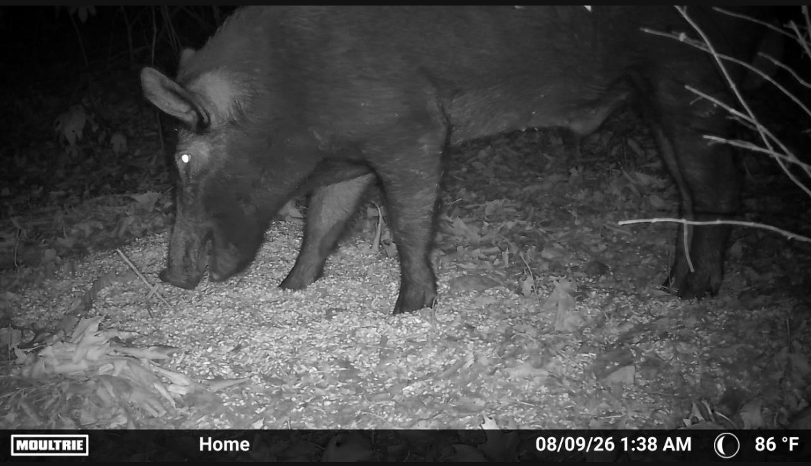 67451 E County Road 175 Road Wyandotte OK 74370