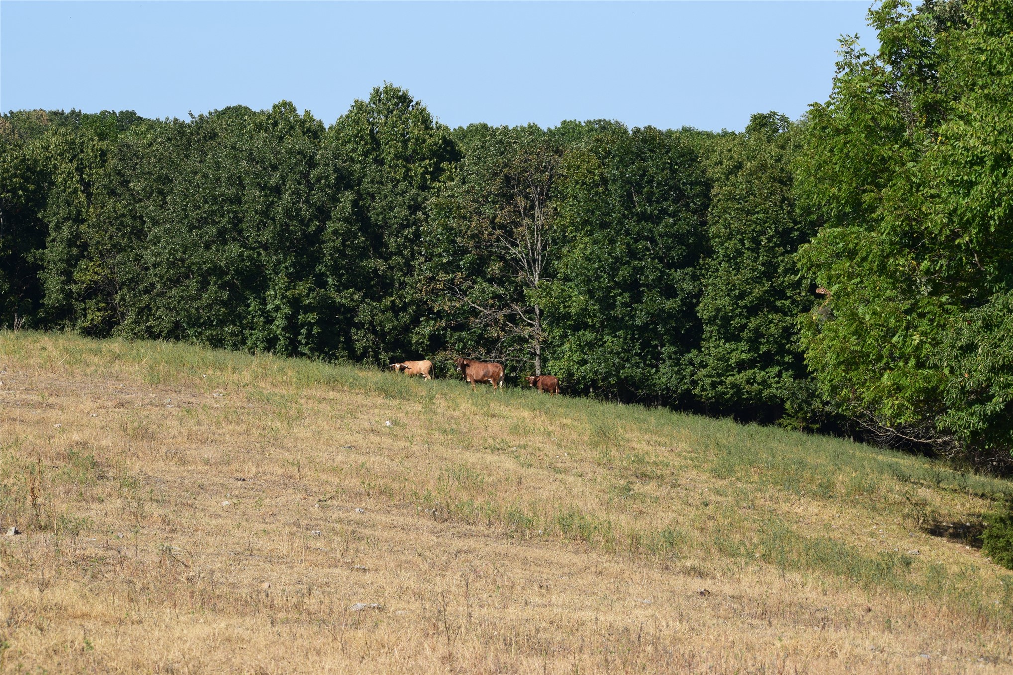 67451 E County Road 175 Road Wyandotte OK 74370