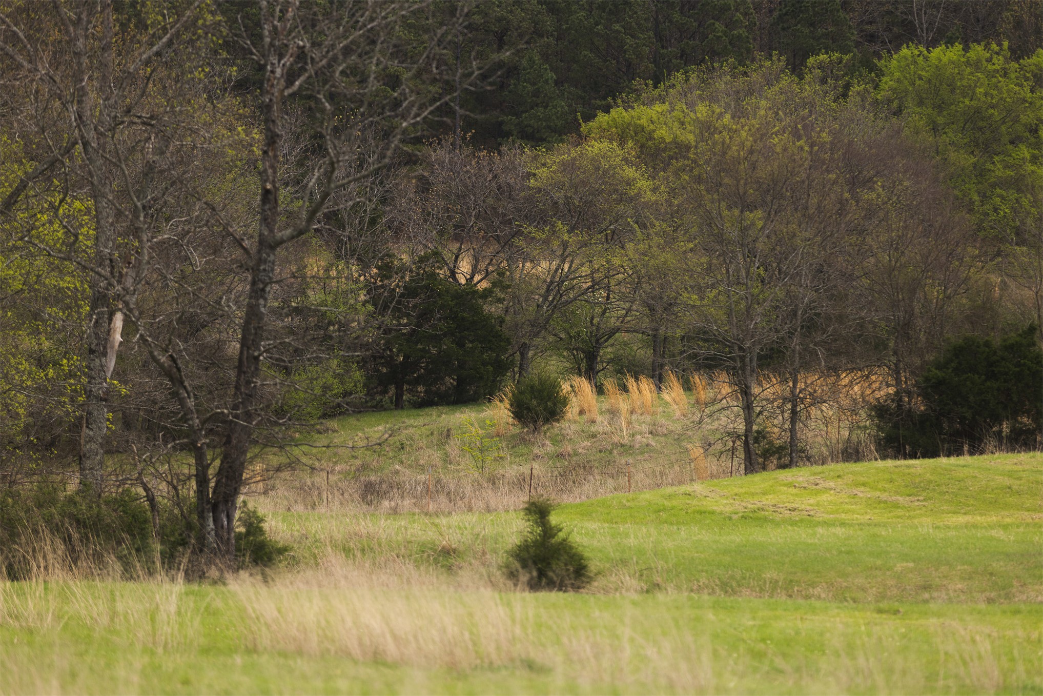 452533 E 1627 Road Albion OK 74521