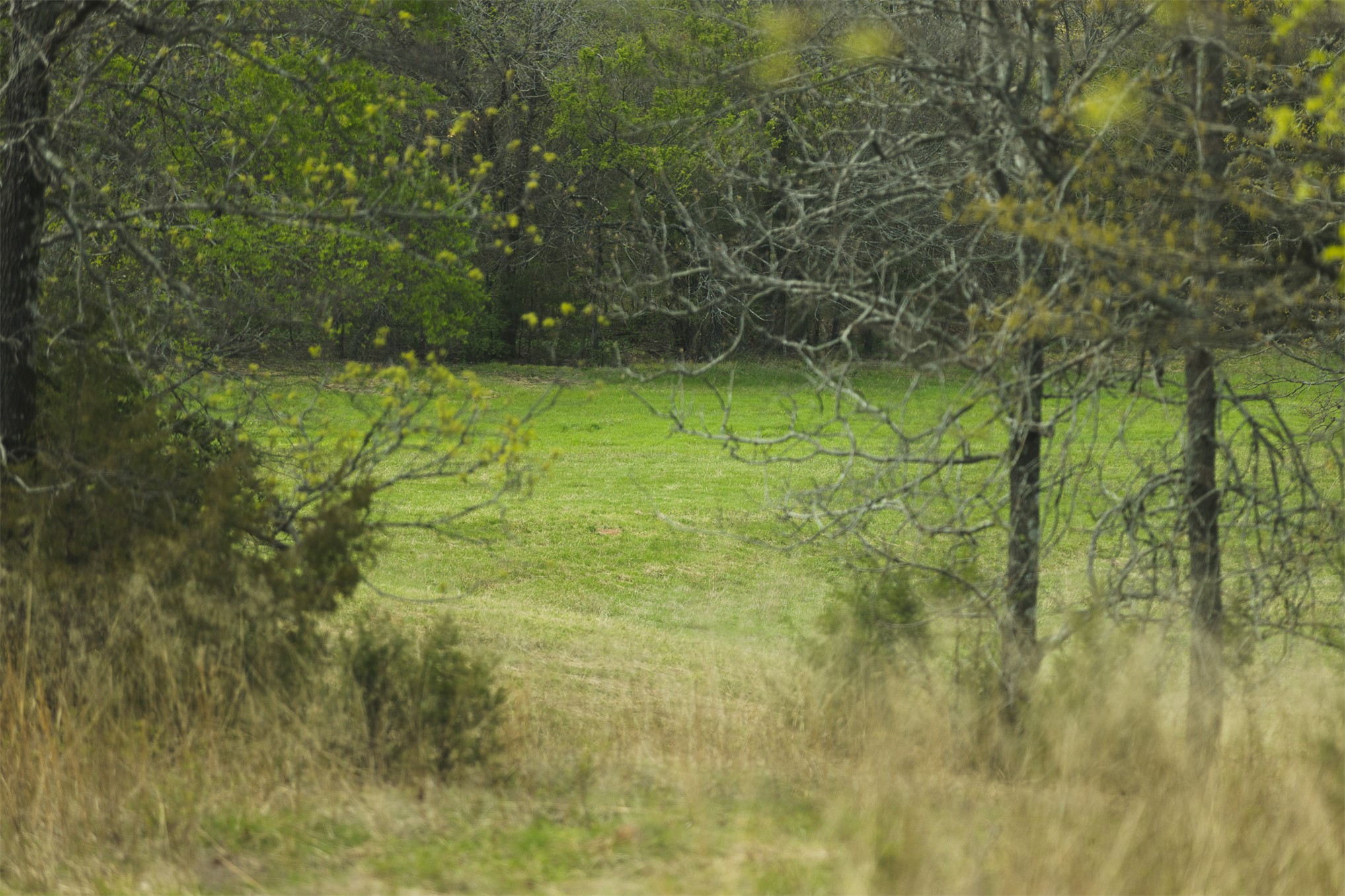 452533 E 1627 Road Albion OK 74521
