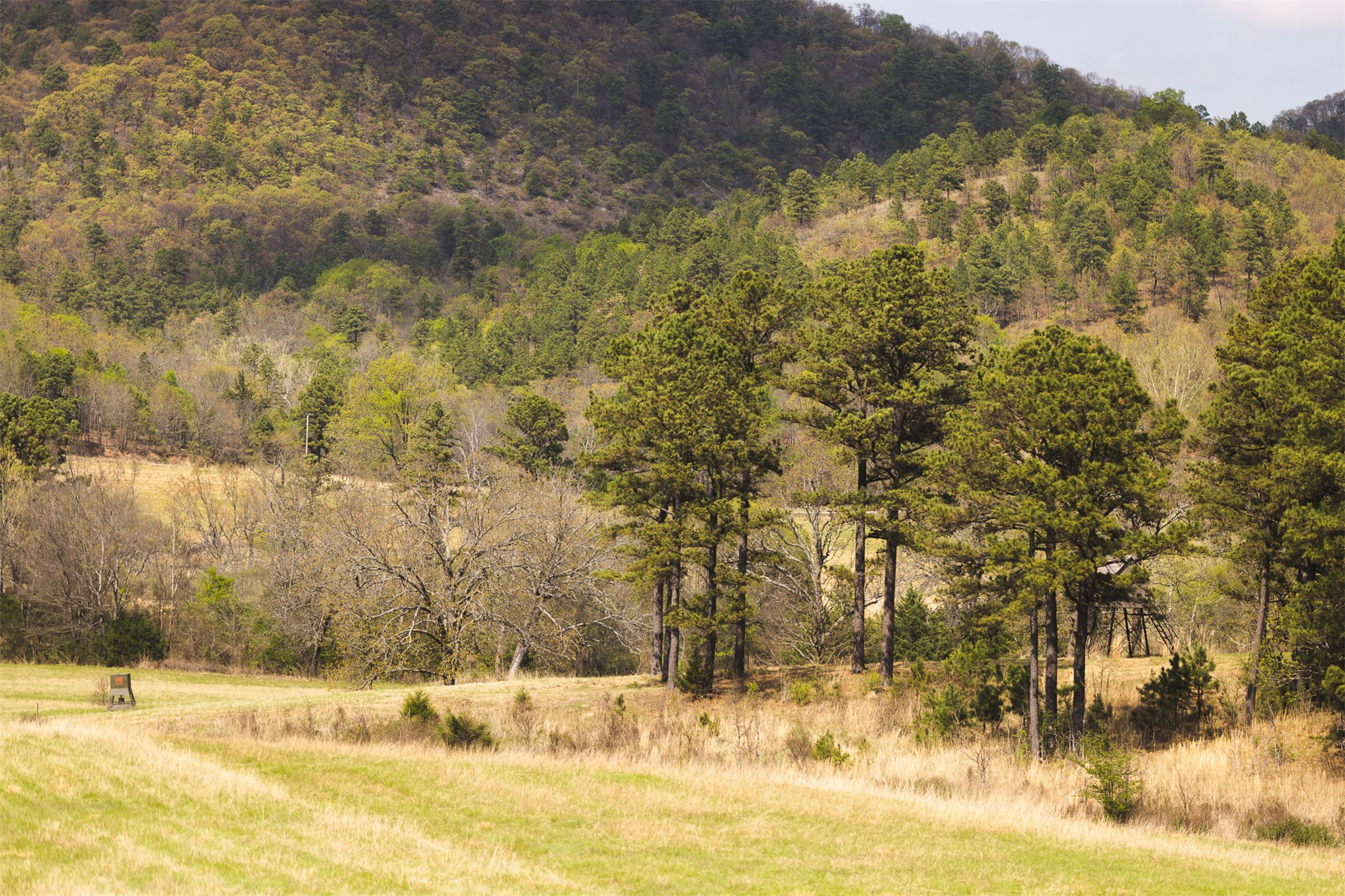 452533 E 1627 Road Albion OK 74521