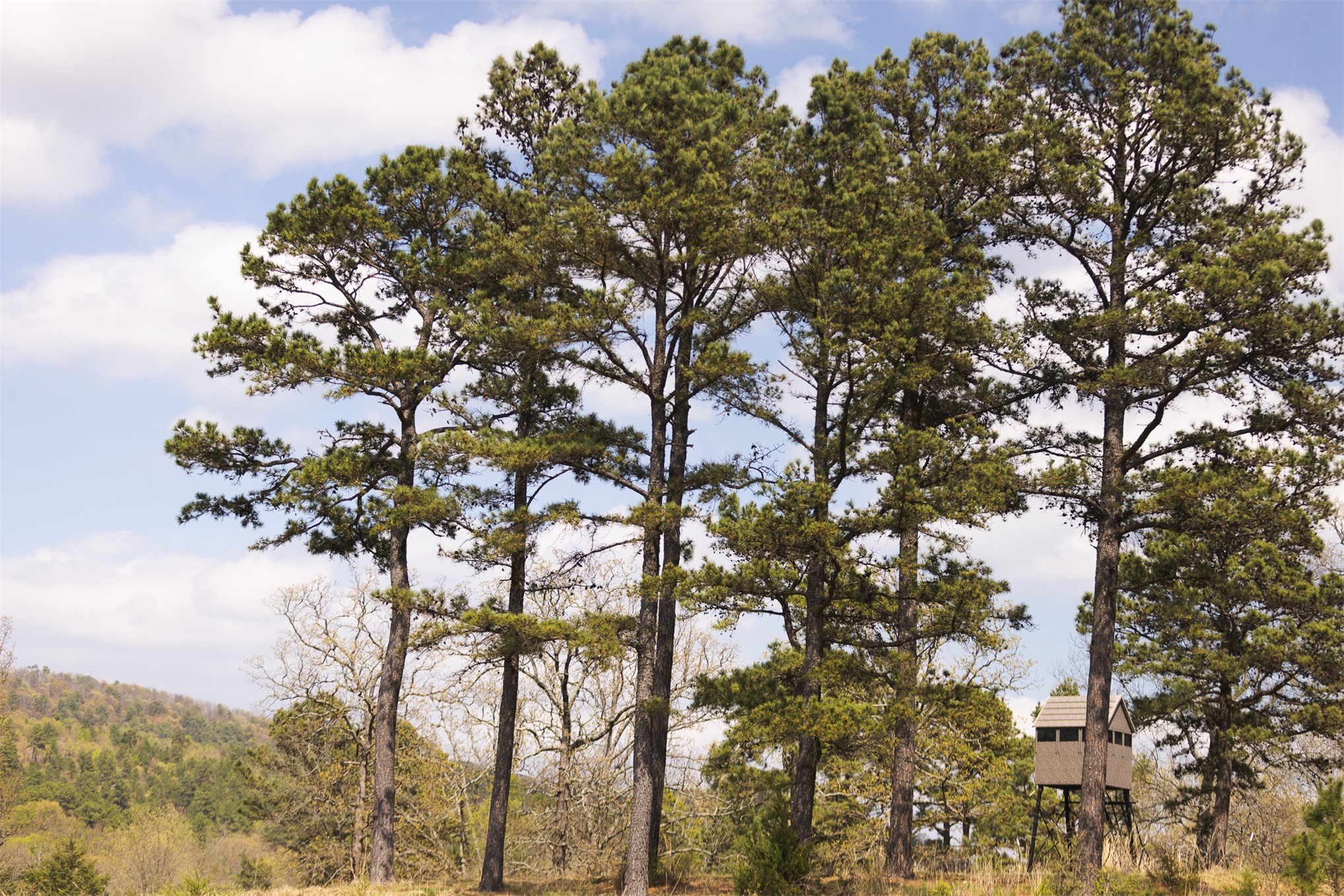 452533 E 1627 Road Albion OK 74521