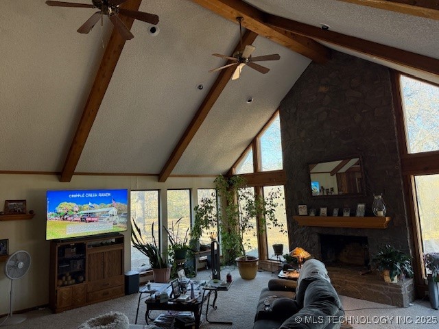 1409 Mesa Ardmore OK 73401