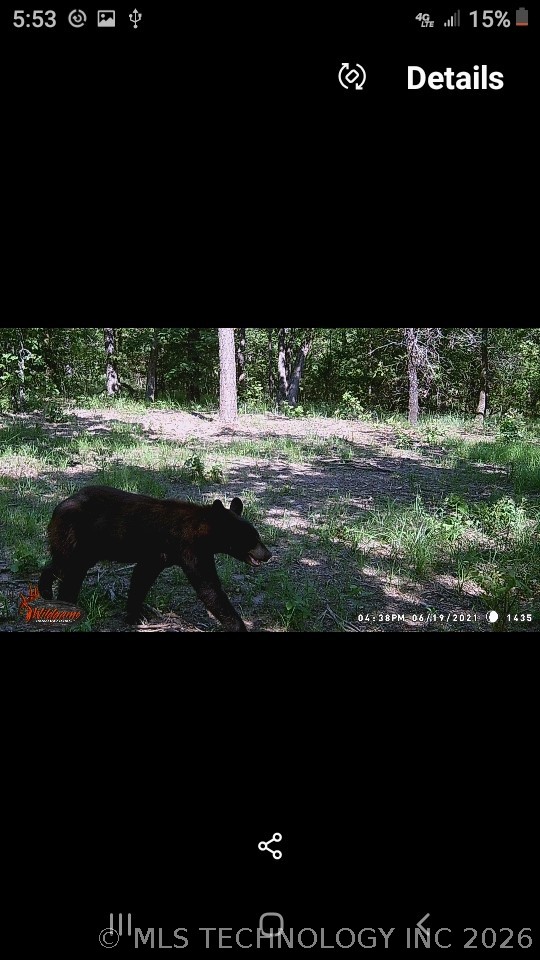 40215 Michael Lane Wister OK 74966