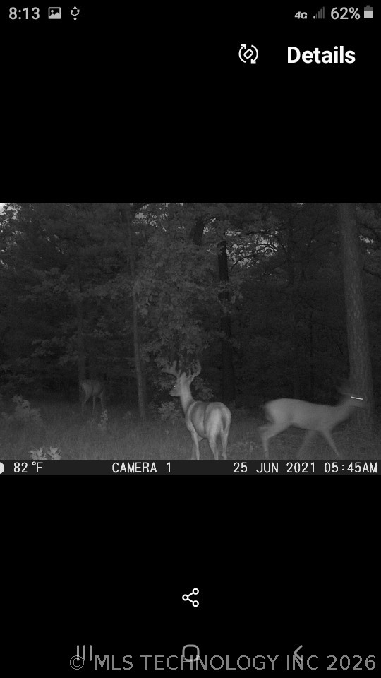 40215 Michael Lane Wister OK 74966