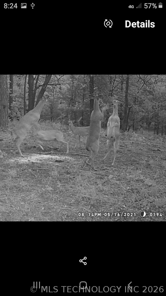 40215 Michael Lane Wister OK 74966