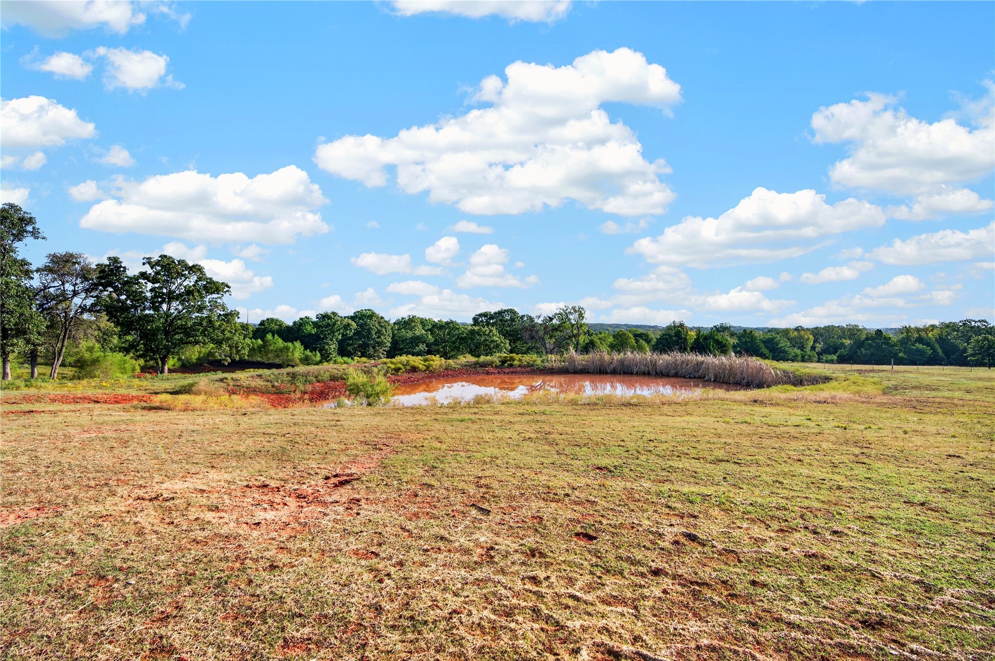 43294 Dripping Springs Maud OK 74854