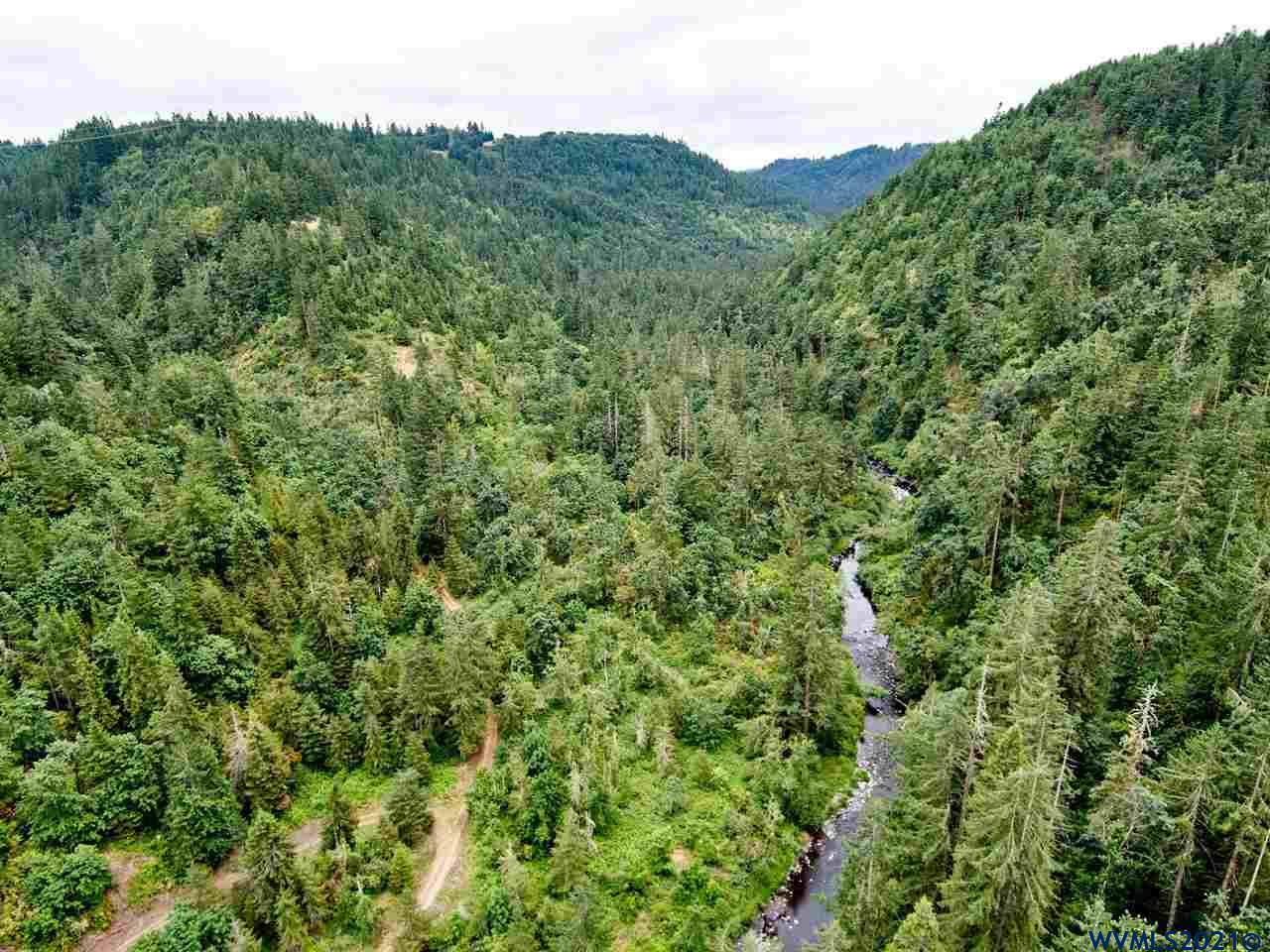 Silver Creek Canyon (R38780) Silverton OR 97381