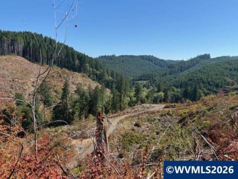 00 Van Horn Road Alsea OR 97324