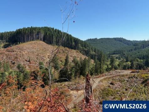 00 Van Horn Road Alsea OR 97324