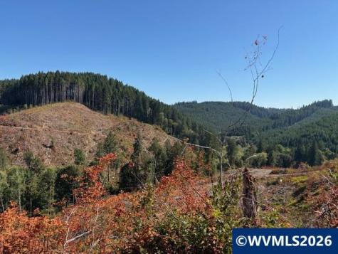 00 Van Horn Road Alsea OR 97324