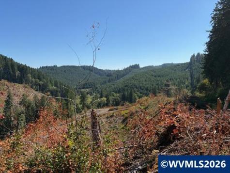 00 Van Horn Road Alsea OR 97324