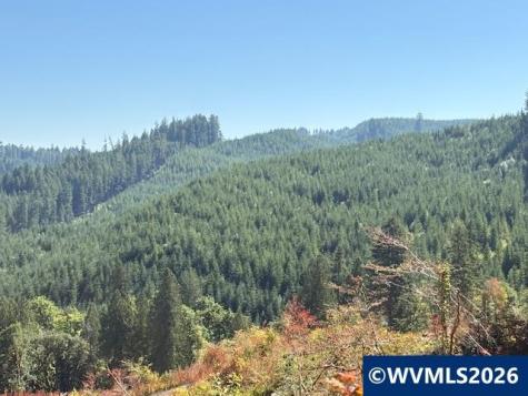 00 Van Horn Road Alsea OR 97324