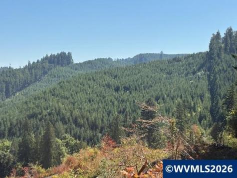 00 Van Horn Road Alsea OR 97324
