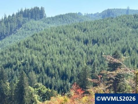 00 Van Horn Road Alsea OR 97324