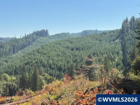 00 Van Horn Road Alsea OR 97324