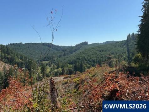 00 Van Horn Road Alsea OR 97324