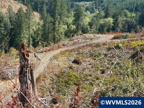00 Van Horn Road Alsea OR 97324