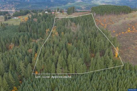 Tl 103 Whiskey Butte Drive Sweet Home OR 97386