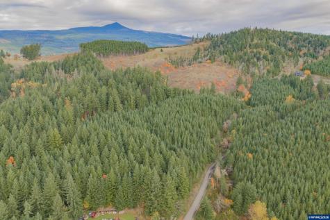 Tl 103 Whiskey Butte Drive Sweet Home OR 97386