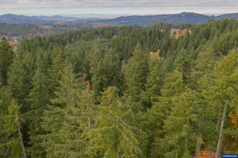 Tl 103 Whiskey Butte Drive Sweet Home OR 97386