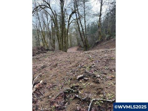 Hebo Road Grand Ronde OR 97347