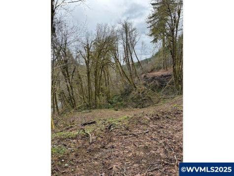 Hebo Road Grand Ronde OR 97347