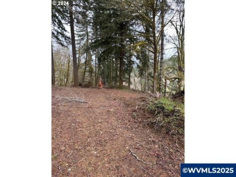 Hebo Road Grand Ronde OR 97347