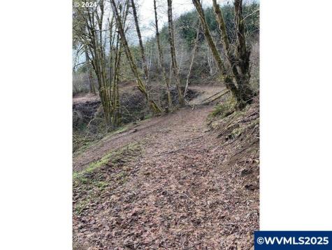 Hebo Road Grand Ronde OR 97347