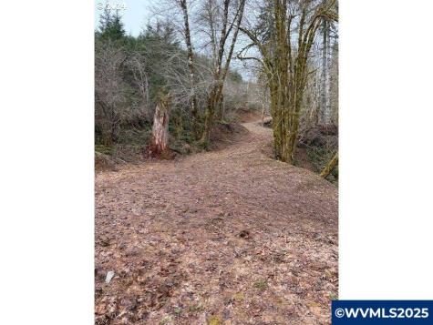 Hebo Road Grand Ronde OR 97347