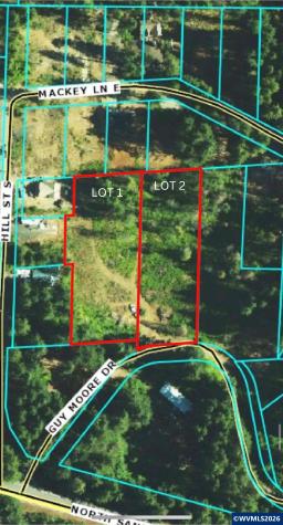 110 Guy Moore (parcel 2) Drive E Detroit OR 97342