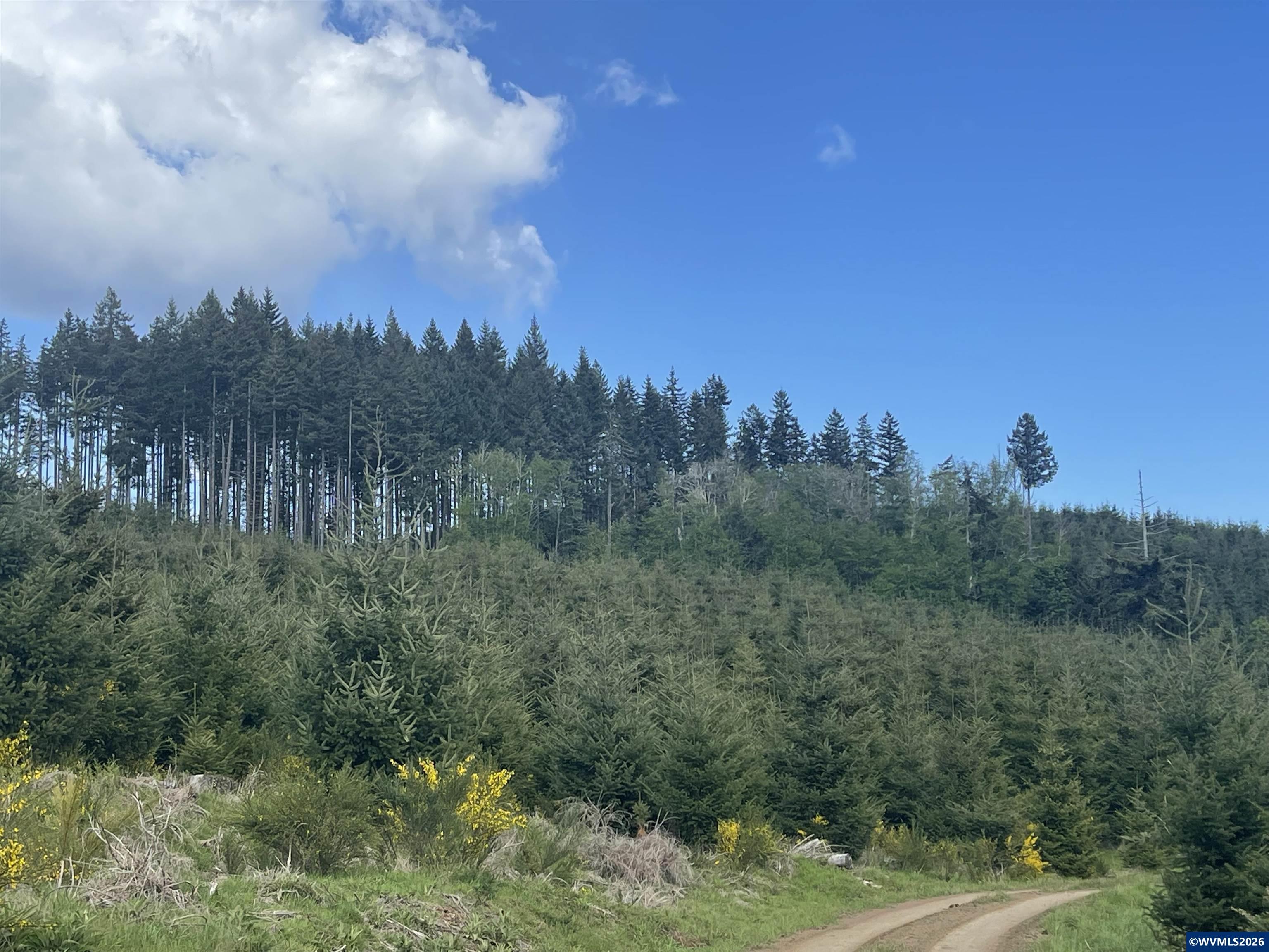 Lot 13 SW Rock Creek Road Sheridan OR 97378