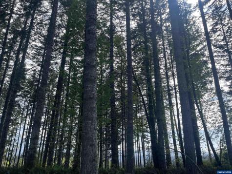 Lot 13 SW Rock Creek Road Sheridan OR 97378